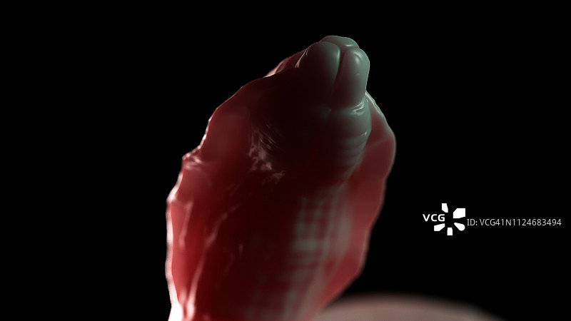 蛔虫插画图片素材