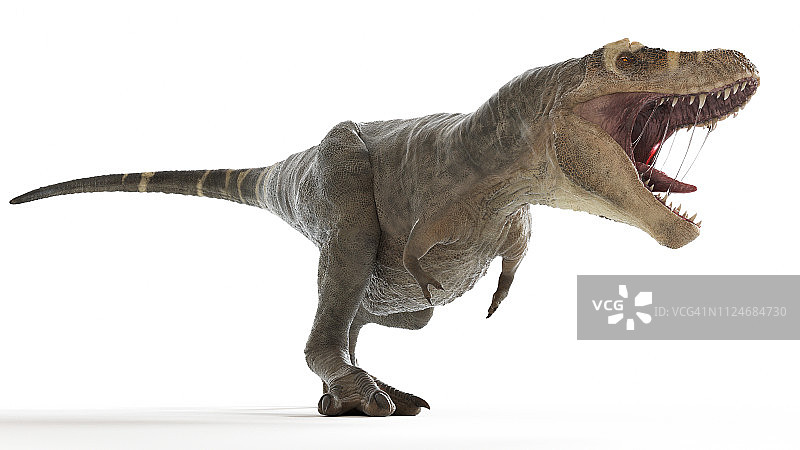 霸王龙插画图片素材