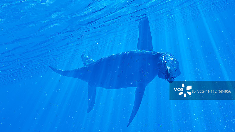 滑齿龙插画图片素材