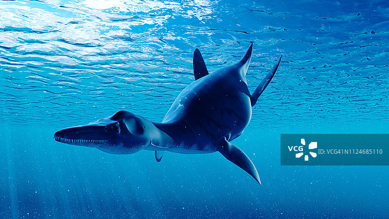 长喙龙插画图片素材