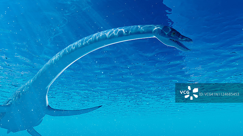 蛇颈龙插图图片素材