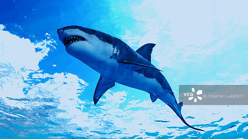 大白鲨插画图片素材