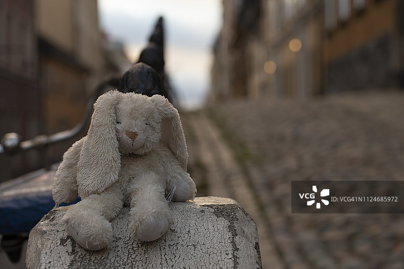 被遗弃的兔子毛绒玩具图片素材