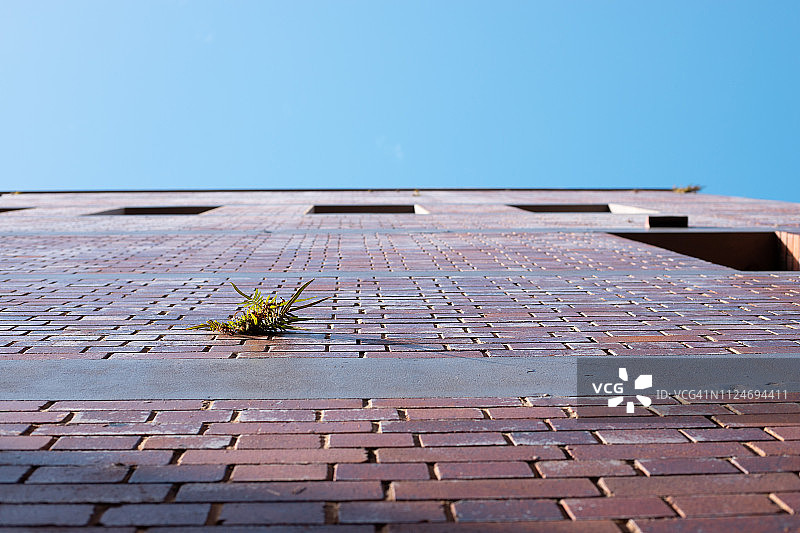 困境中求发展图片素材