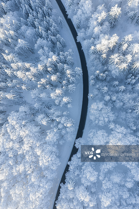 奥地利萨尔茨堡盖斯贝格雪树间蜿蜒道路航拍图片素材