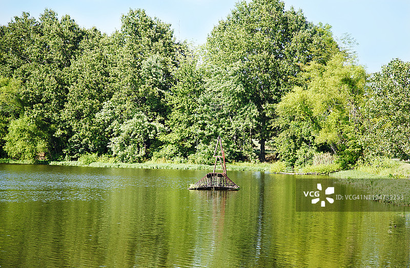 美国路易斯安那州什里夫波特夏季绿树成荫的湖泊图片素材