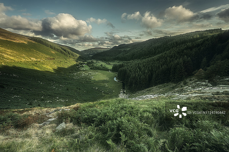 爱尔兰威克洛国家公园图片素材