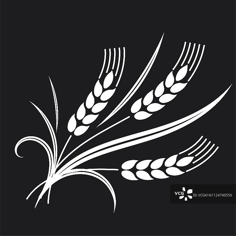 小麦设计元素图片素材