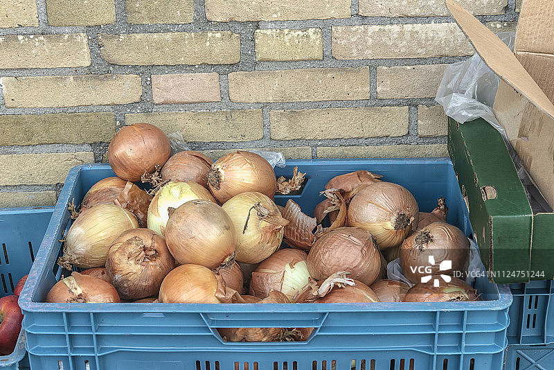 装满大洋葱的蓝色塑料箱图片素材