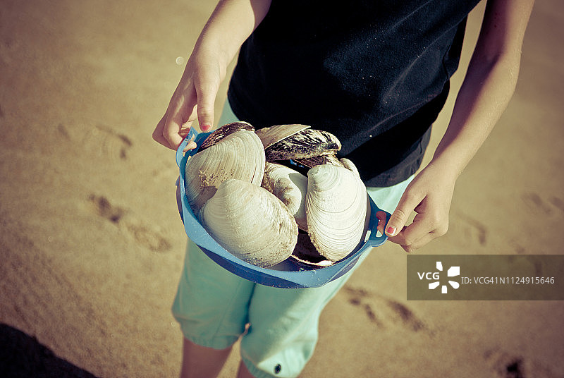 手持蛤蜊壳盘子的海滩日图片素材