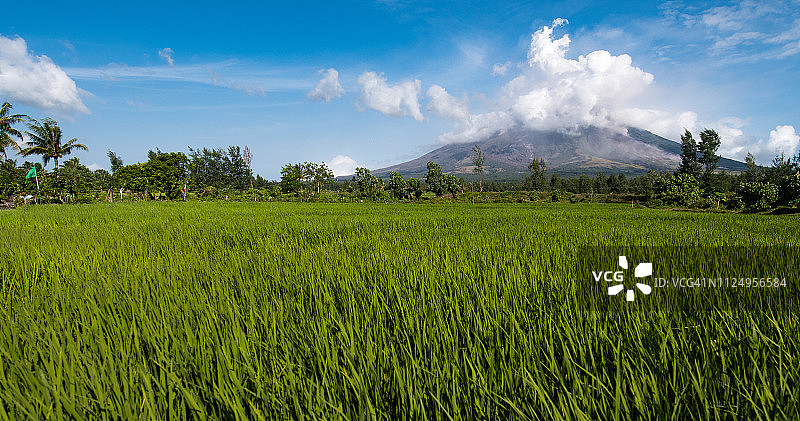 马荣火山和稻田图片素材