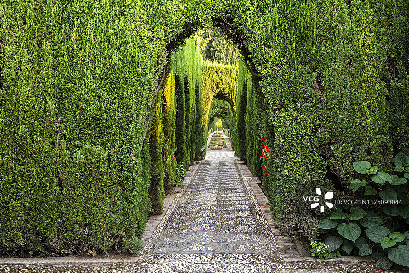 西班牙格拉纳达阿尔罕布拉宫 Generalife 花园景色图片素材