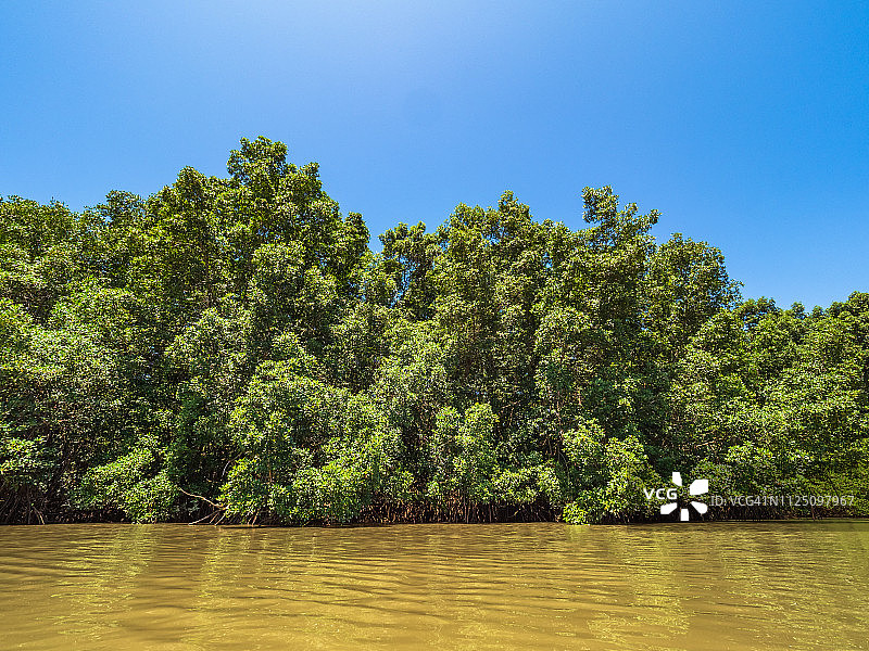 帕尔奈巴三角洲图片素材