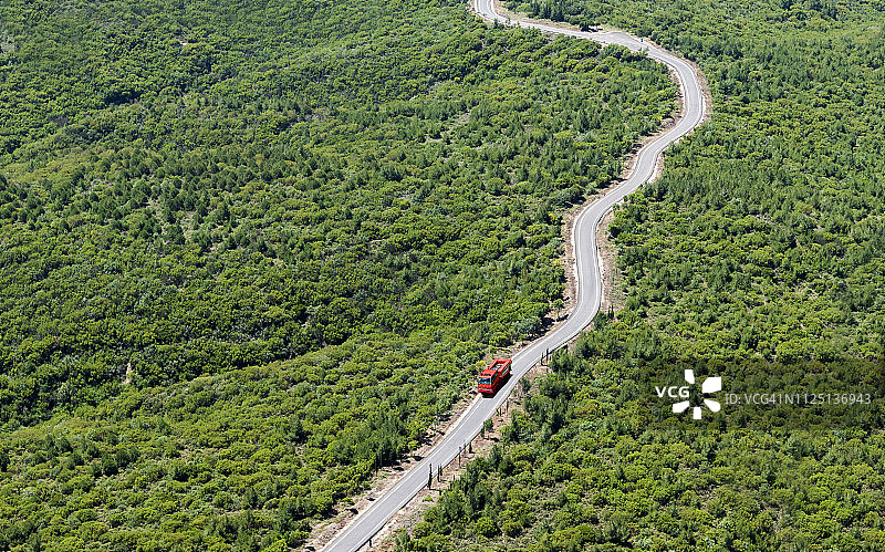 森林中的道路（鸟瞰图）图片素材