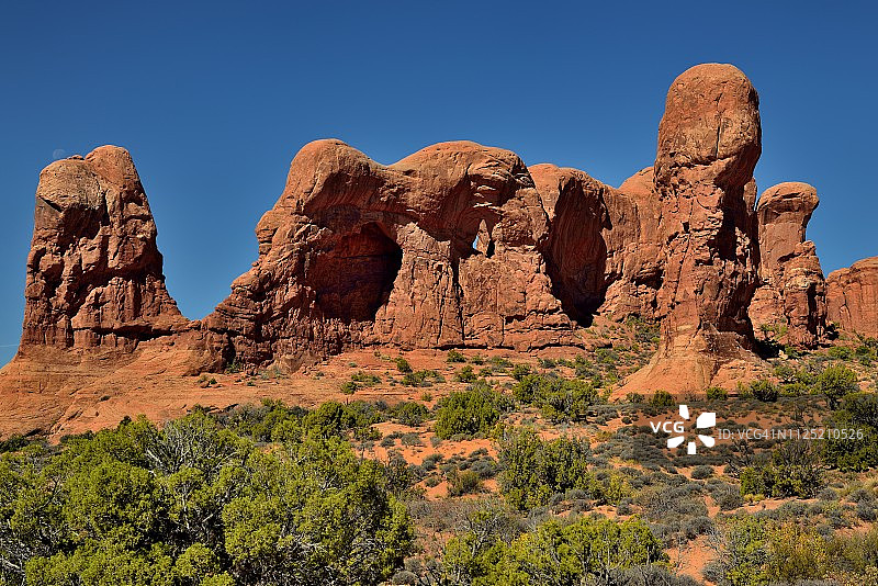 大象巡游队伍上方的月亮图片素材