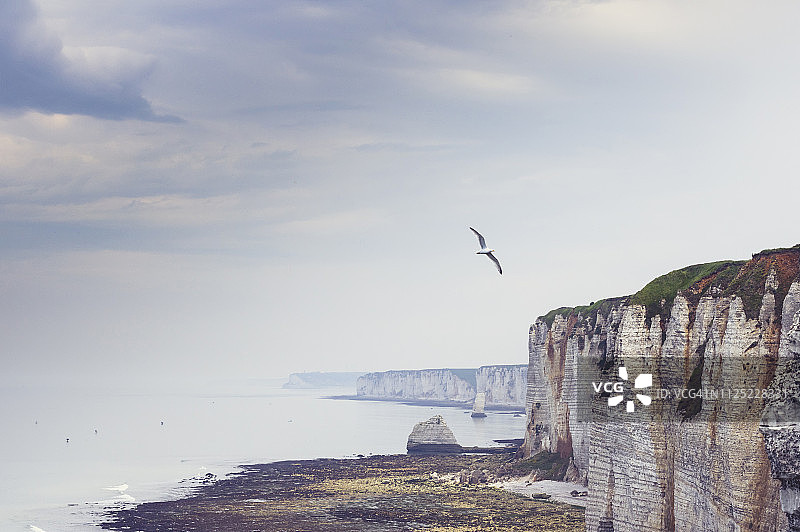 法国上诺曼底埃特勒塔附近，飞鸟与象牙海岸图片素材