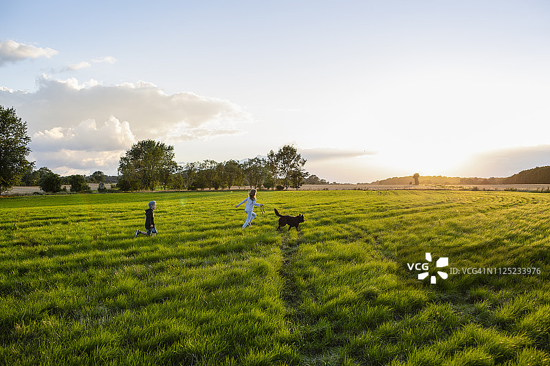 两个孩子和一只狗在日落时分的田野上奔跑图片素材