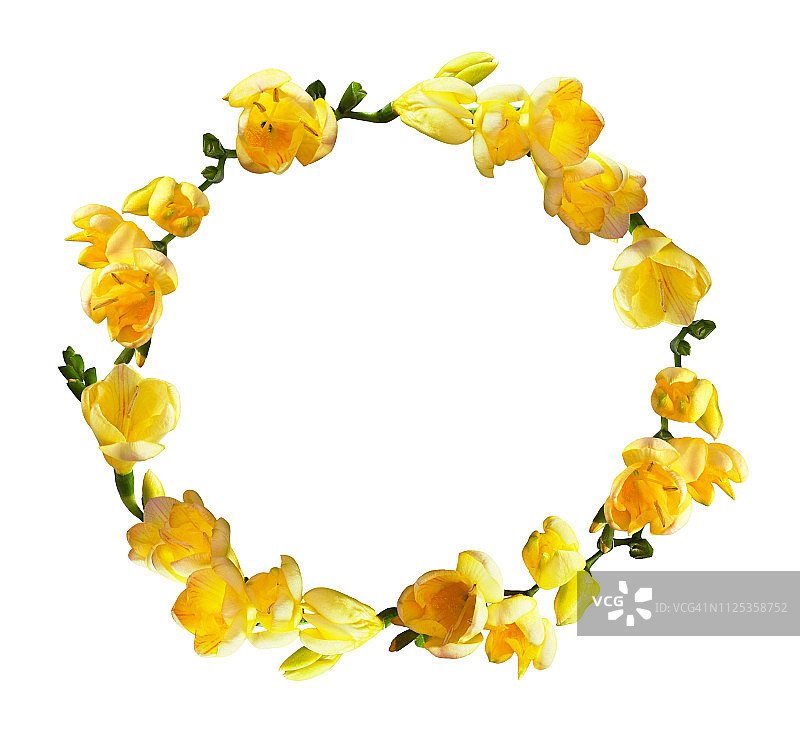 黄色小苍兰花朵圆形花环图片素材