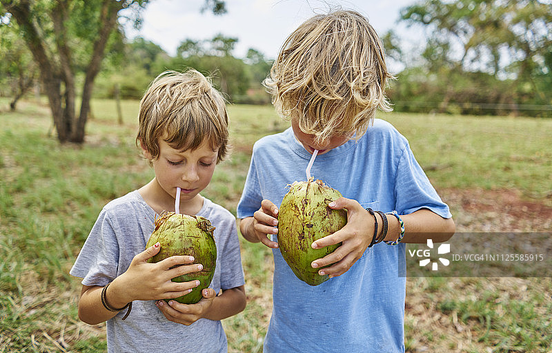 巴西博尼图：两个男孩用吸管喝椰子汁图片素材