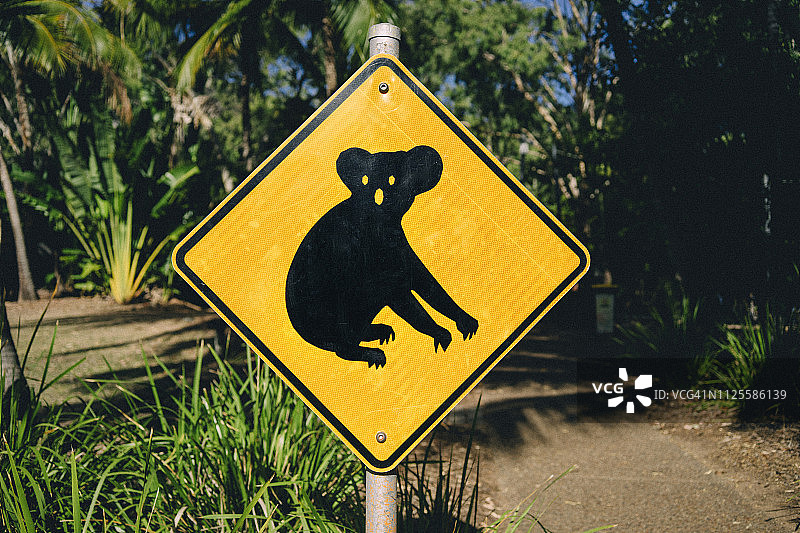 澳大利亚磁岛考拉动物路标图片素材