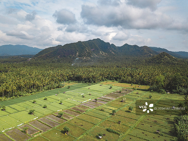 印度尼西亚巴厘岛Candidasa稻田鸟瞰图片素材