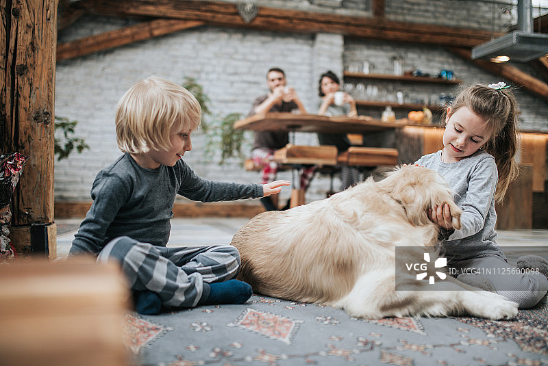 小兄妹在家里的地毯上拥抱他们的金毛寻回犬图片素材