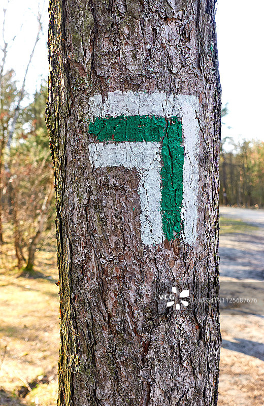 树上的绿色小径标记图片素材