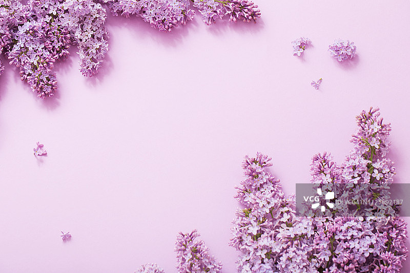 纸背景上的美丽丁香花图片素材
