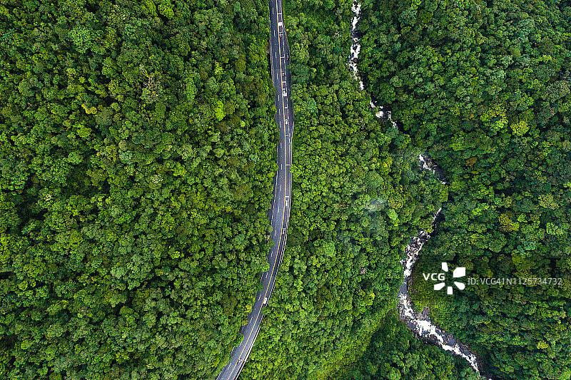 森林中的道路鸟瞰图图片素材