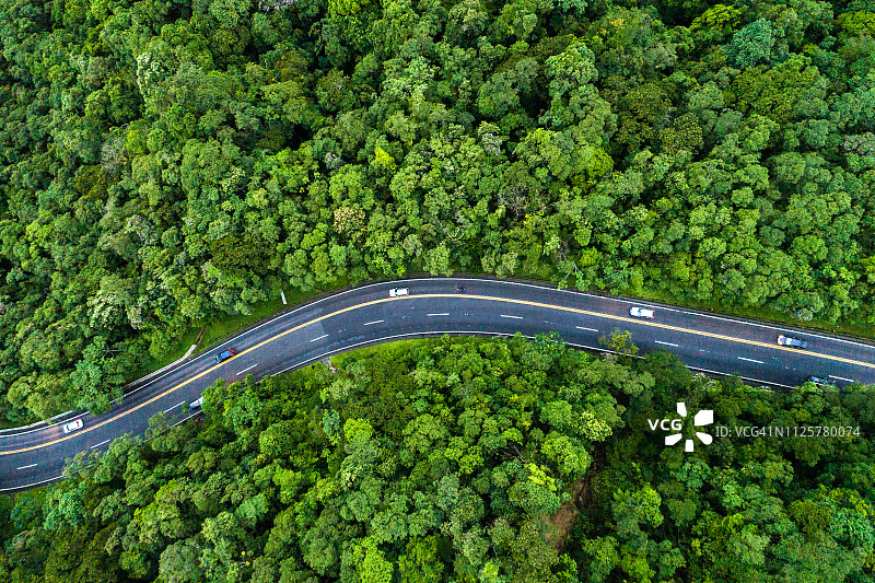 森林中的道路鸟瞰图图片素材