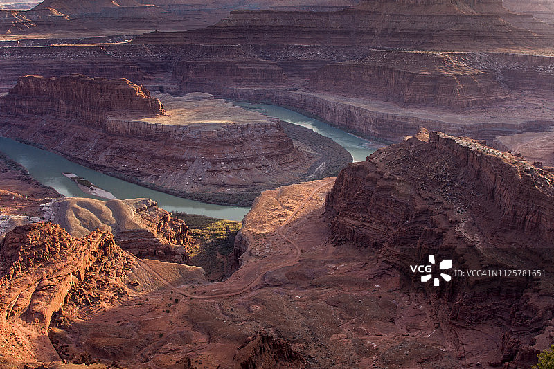 死马的鹅颈图片素材