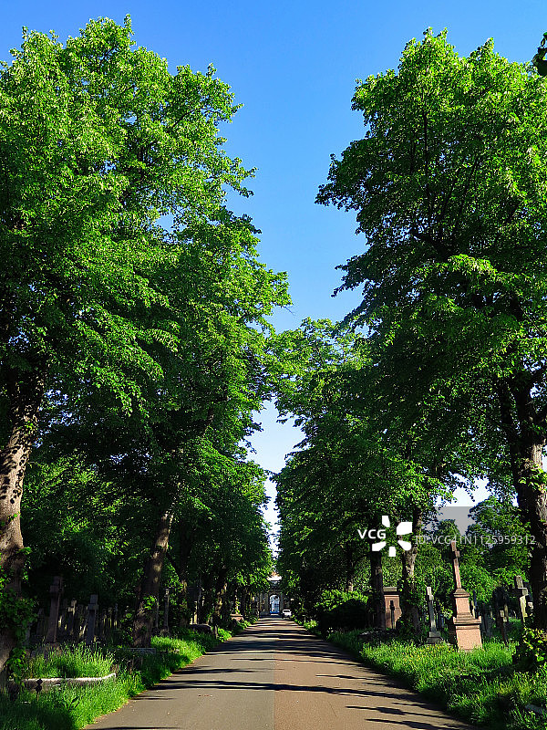 布朗普顿公墓内的中央人行道图片素材