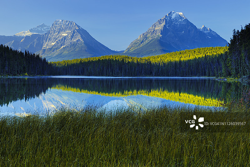 加拿大阿尔伯塔省的贾斯珀国家公园图片素材