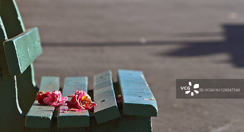 被遗忘的承诺图片素材