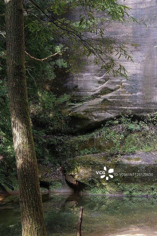 步行小路图片素材