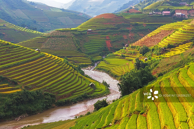 越南木 Cang Chai 梯田图片素材