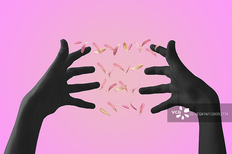 飘落花瓣中的影子女人之手图片素材