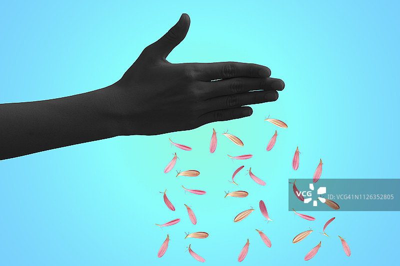 飘落花瓣中的影子女人之手图片素材