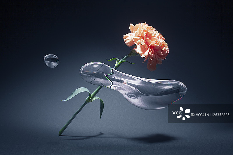 零重力空间中的花朵和水滴图片素材
