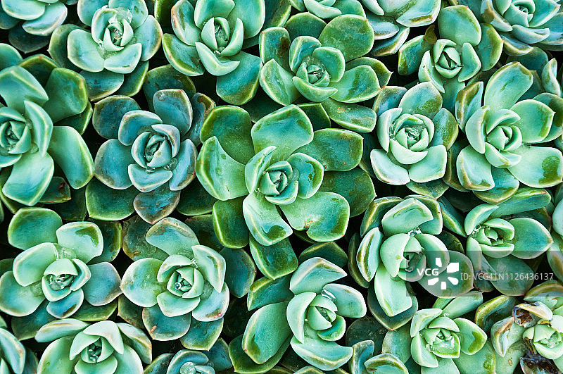 美美的图片素材