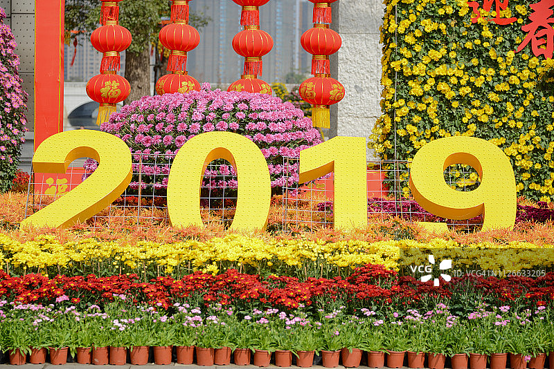 2019年（猪年）花卉造型，位于中国广东省中山市公园外图片素材