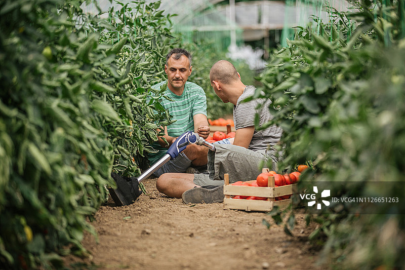 男士在番茄农场工作后放松图片素材