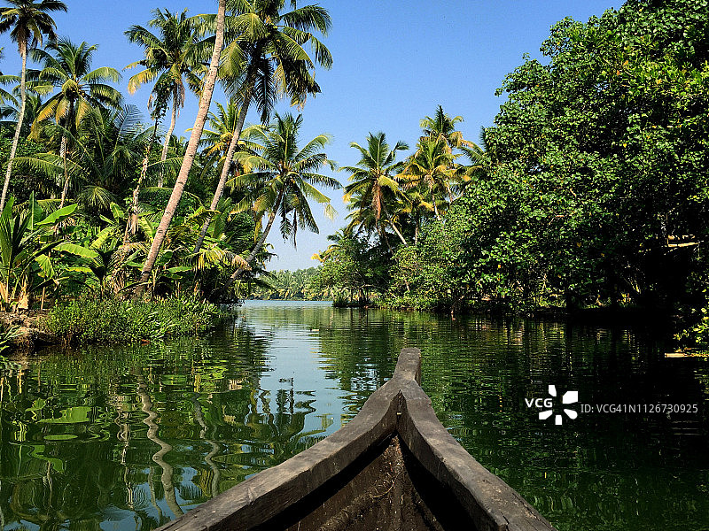 喀拉拉邦回水区水中树木的独木舟和倒影图片素材