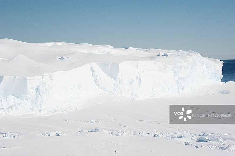 企鹅与冰图片素材
