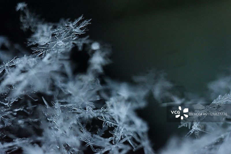 雪花放大照相图片素材