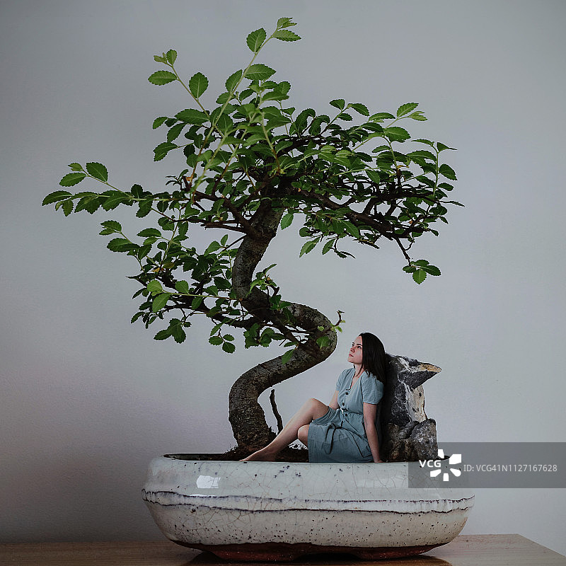 盆景树下的迷你女人图片素材