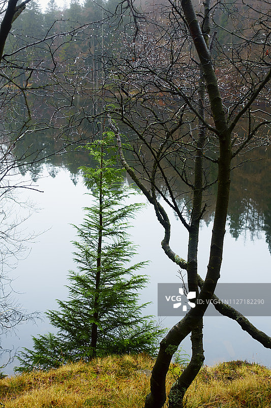 12月的塔恩豪斯，湖区国家公园图片素材