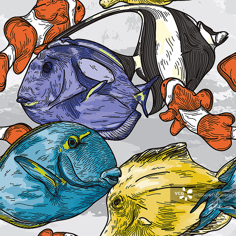 精致的热带鱼无缝图案图片素材