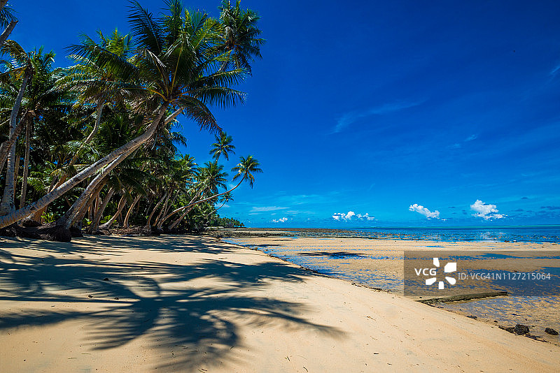 热带度假村图片：棕榈树海滩和蓝色泻湖，密克罗尼西亚雅浦岛图片素材