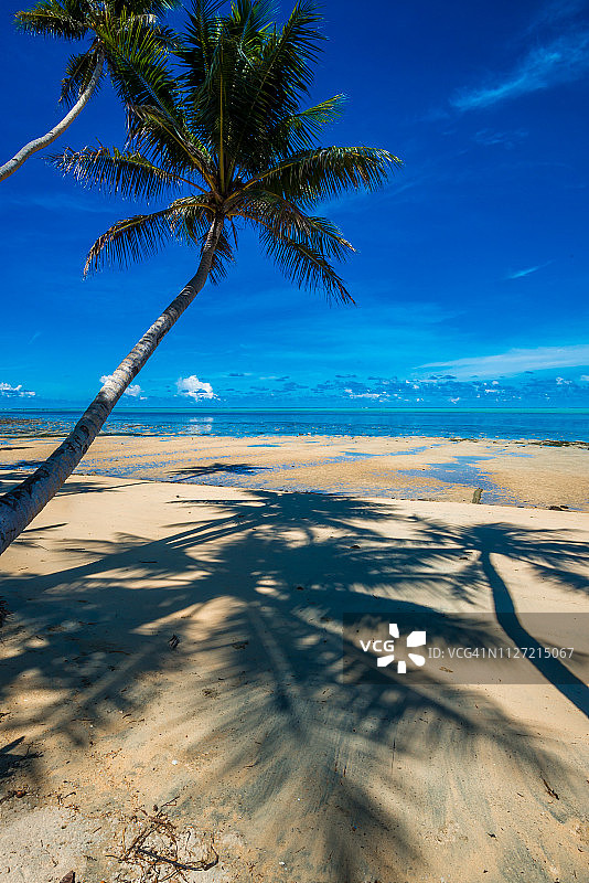 热带度假村图片：棕榈树和泻湖，位于密克罗尼西亚的雅浦图片素材